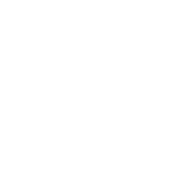 Partner 1